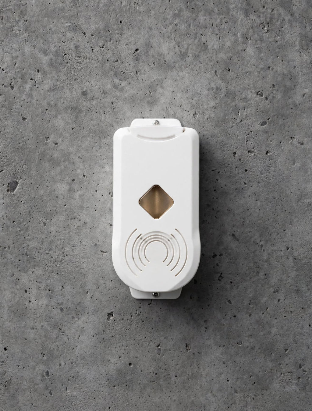 P wave one