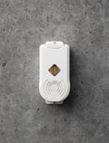 P wave one